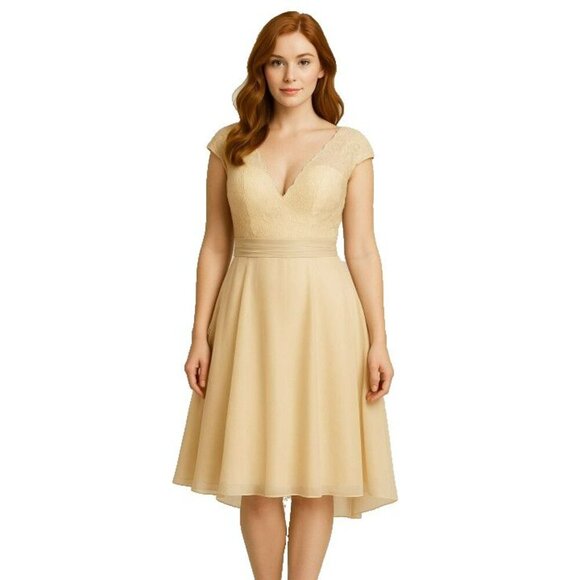 Warm Notices Champagne Lace & Chiffon Cocktail Dress Size 6 Elegant V-Neck - Picture 13 of 13